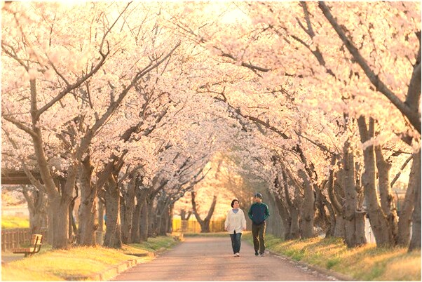 夢到了丈母娘女婿穿白衣服哭是什麼預兆?_周公解夢官網