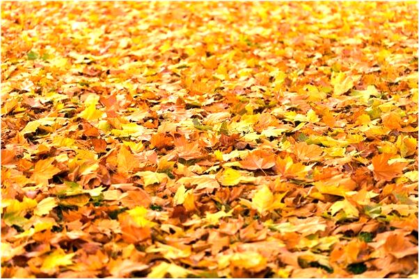 夢見活著的表哥死了有什麼意思_周公解夢官網