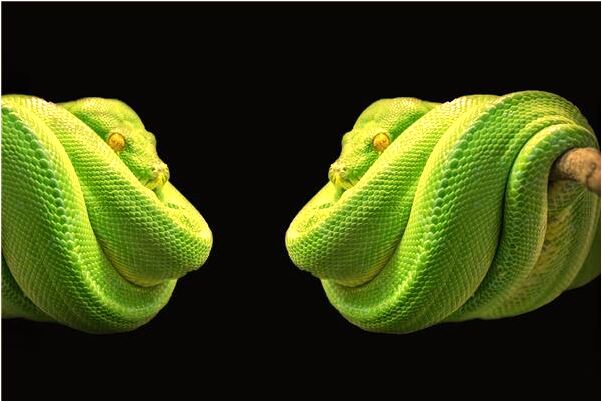 夢到了我被我不喜歡的人追是好是壞_周公解夢官網