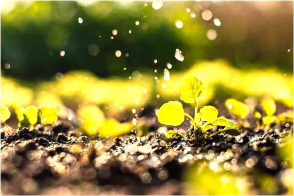 夢見蛇一個接一個綁在一起會是什麼預兆_周公解夢官網