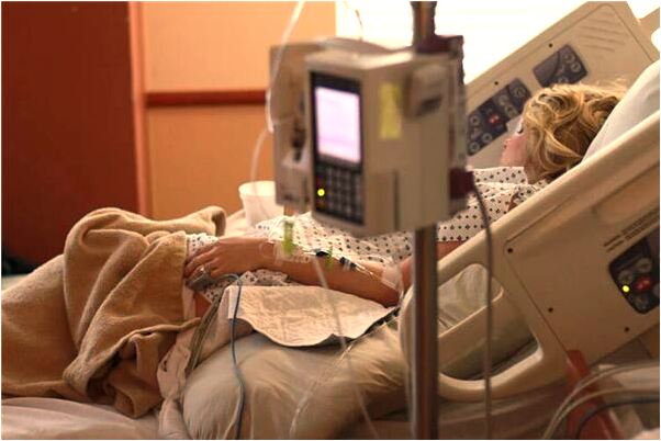 夢見鳥吃貓是什麼預兆_周公解夢官網