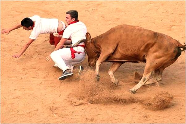 夢見黑白蛇說話代表什麼_周公解夢官網