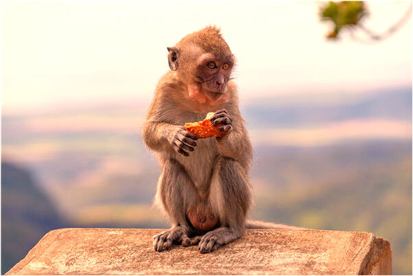 夢到摸女人被別人看見怎么樣_周公解夢官網