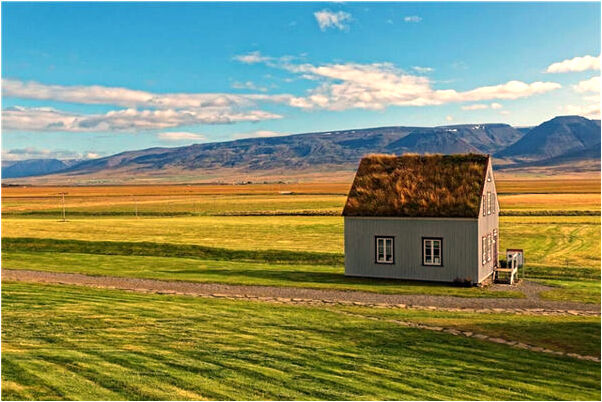 夢到突然飛進來棺材有何寓意_周公解夢官網