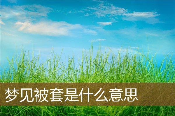 夢見被套是什麼意思_周公解夢