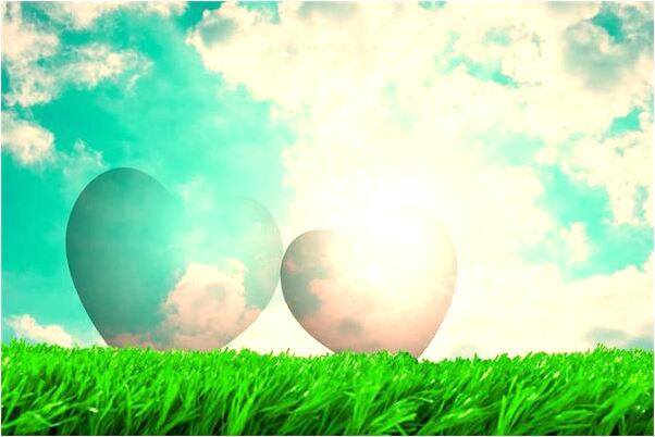 夢到了國能生物有何寓意_周公解夢官網