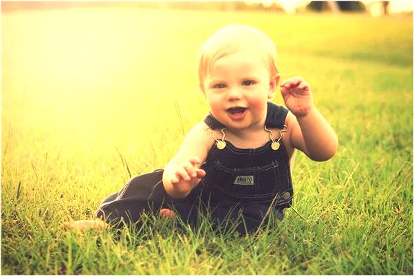 夢見乾的葫蘆發出紫芽兒有什麼預示嗎_周公解夢官網