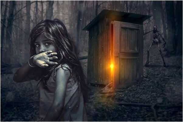 夢到樹苗圃預示什麼_周公解夢官網