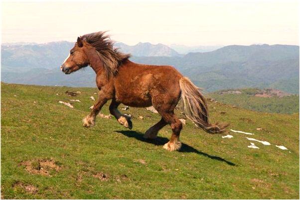 夢見前男友回來是什麼預兆_周公解夢官網