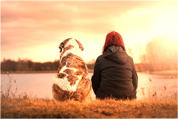 夢到去見家長是什麼徵兆_周公解夢官網