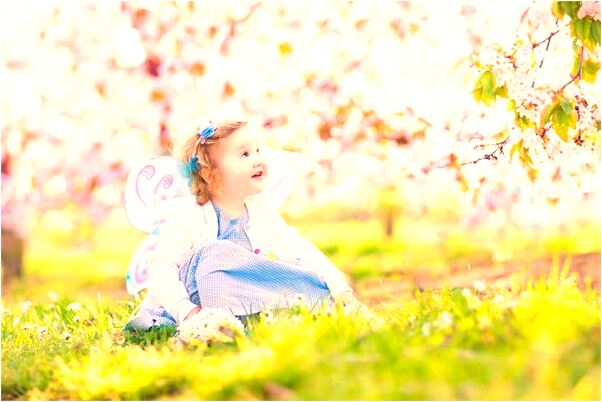 夢到抱著懷孕的狗會是什麼預兆_周公解夢官網