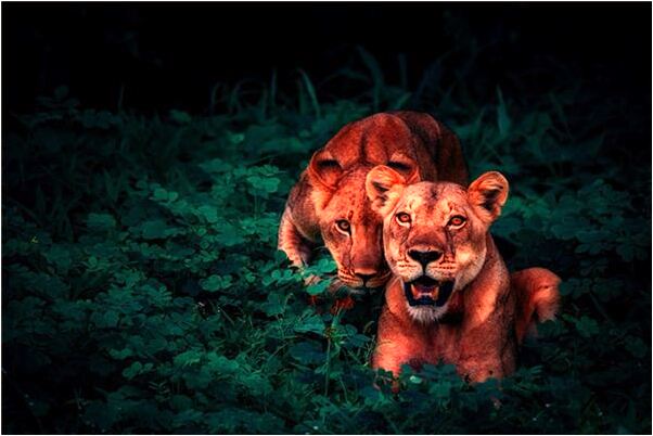 夢到駕駛證被交警拿走了是咋回事_周公解夢官網