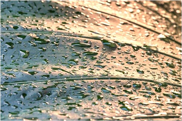 夢見到海里救人預兆了什麼嗎_周公解夢官網