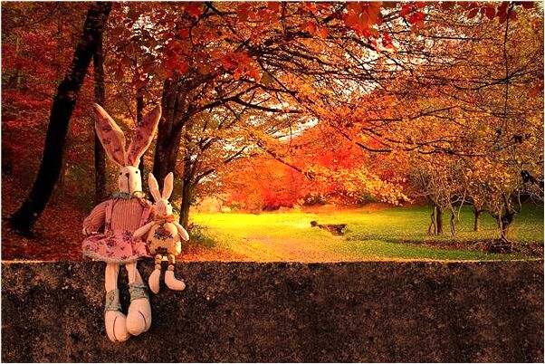 夢到了做愛時被人撞見上身赤裸是咋回事_周公解夢官網