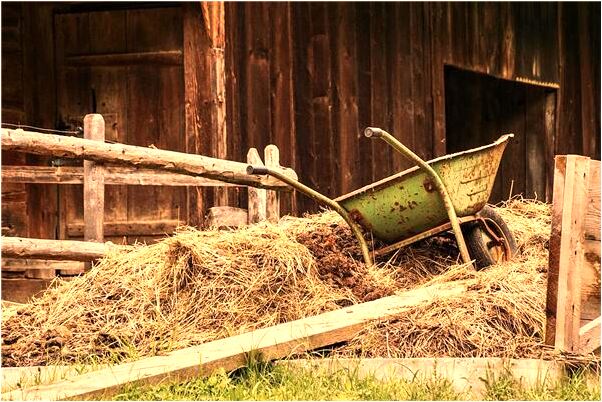 夢見別人偷生一個男孩會有什麼預兆_周公解夢官網