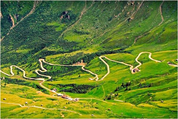 夢到了買羊毛是啥意思_周公解夢官網