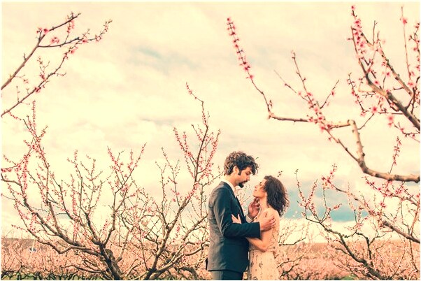 夢到了自己偷東西老公被人打是什麼啟示_周公解夢官網