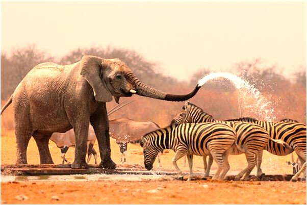 夢見錢包被人拿走代表什麼_周公解夢官網