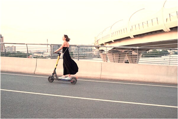 夢到了黑狗刨坑預示了什麼_周公解夢官網