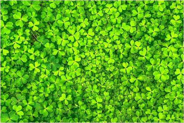 夢到進女孩子房間是好事還是壞事_周公解夢官網