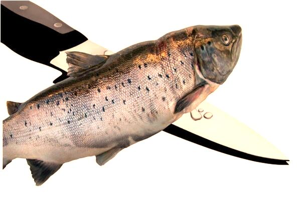 夢到了被好友挖眼睛是好事還是壞事_周公解夢官網