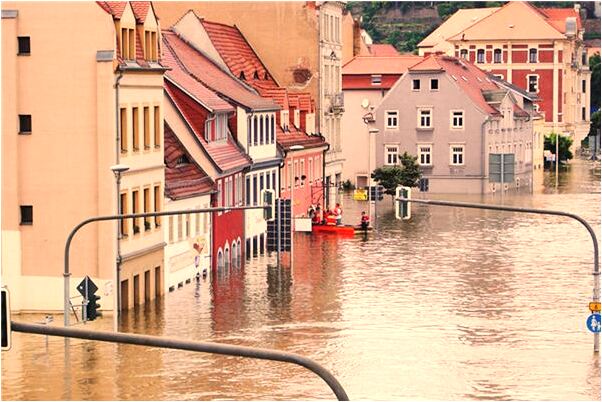 夢到和女兒一起賣豬肉什麼寓意_周公解夢官網