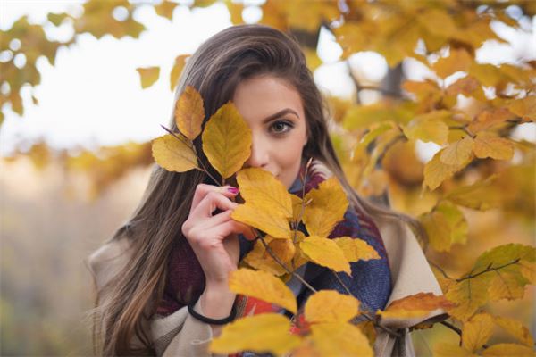 2003年羊的2021年運勢_十二生肖