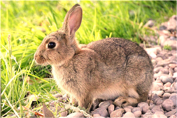 夢到了男朋友想殺我怎么辦是吉兆嗎?_周公解夢官網