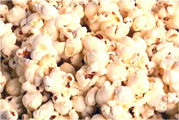 夢到了打死好多老鼠是不是好的徵兆呢_周公解夢官網