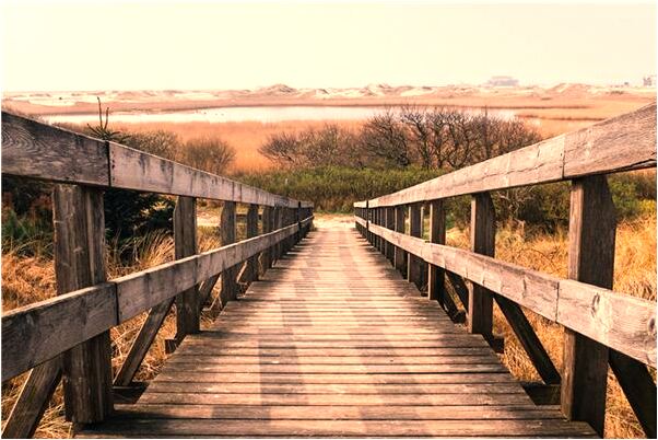 夢見挖到很多大塊金子有什麼預兆_周公解夢官網