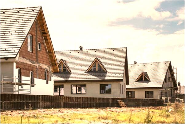 夢到了狗的精子預兆了什麼嗎_周公解夢官網