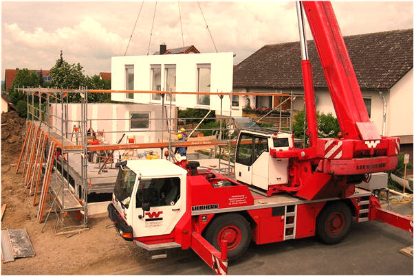 夢見跟獅子交配有了孩子是怎么回事_周公解夢官網