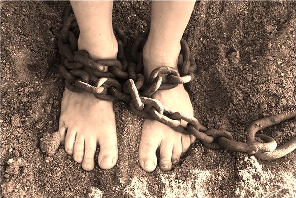 夢到了很多魚游過什麼寓意_周公解夢官網