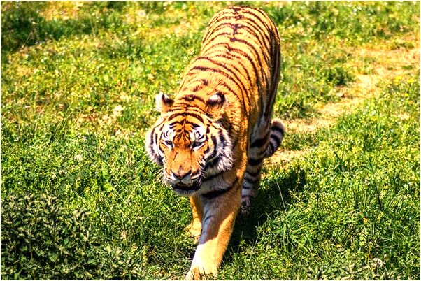 夢到了大敗十八羅漢是什麼預兆_周公解夢官網