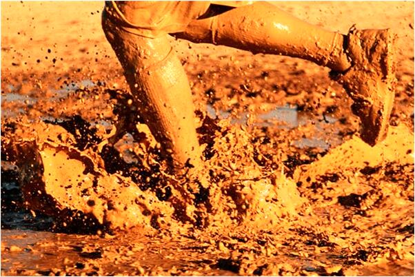 夢到了自己身上有黑色蟲子會是什麼預兆_周公解夢官網