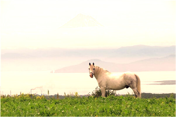 夢到了被陌生人欺負啥意思_周公解夢官網