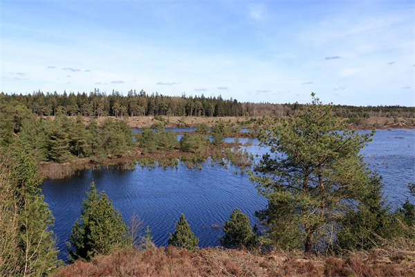 夢見地下出水是什麼預兆？_周公解夢