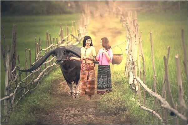 夢見有好多人追趕我是什麼徵兆_周公解夢官網