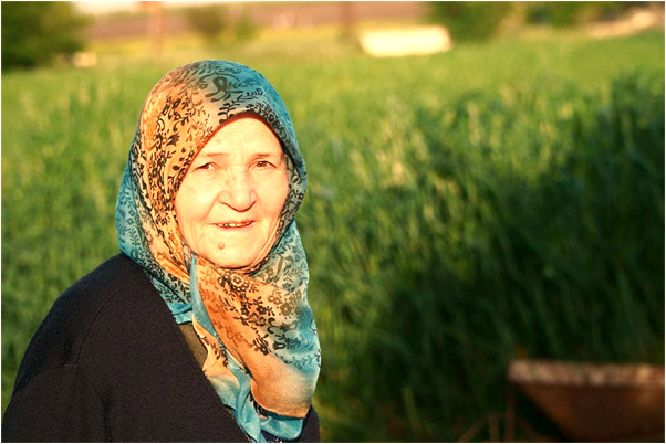 夢到飯店宰殺牛蛙是咋回事_周公解夢官網