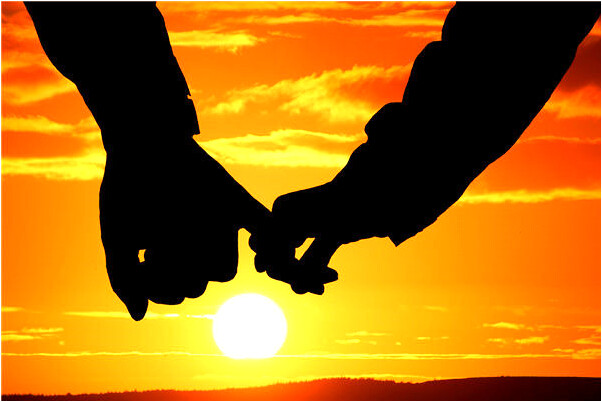 夢見我是男人生了個金烏龜預示了什麼_周公解夢官網