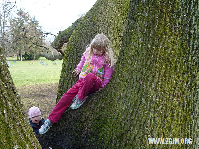 夢見變漂亮_周公解夢夢到變漂亮是什麼意思_做夢夢見變漂亮好不好_周公解夢官網