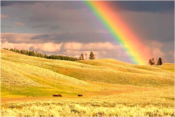 夢到了黃布上面有乾屍是凶兆還是吉兆_周公解夢官網