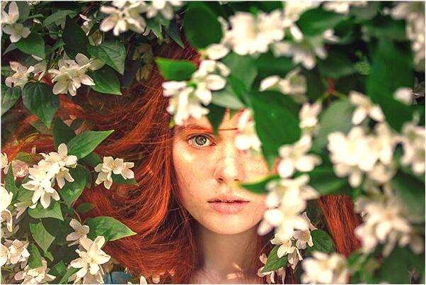 夢到小貓撓我是啥意思_周公解夢官網