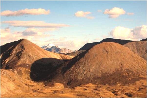 夢到紅色的蜈蚣風箏在頭上飛怎么說_周公解夢官網