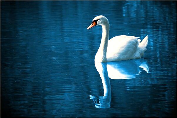 夢到打人頭部會怎么樣_周公解夢官網