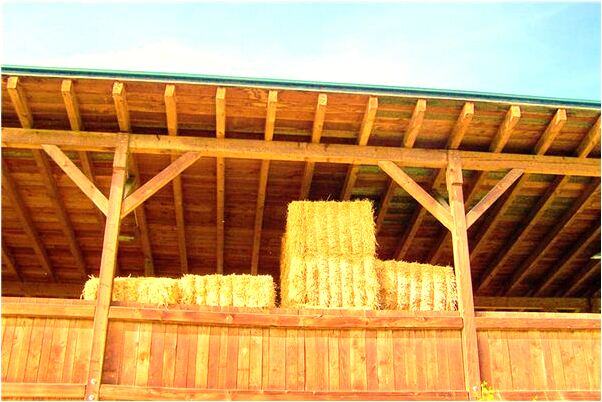 夢到看球唱歌是什麼預兆？_周公解夢官網