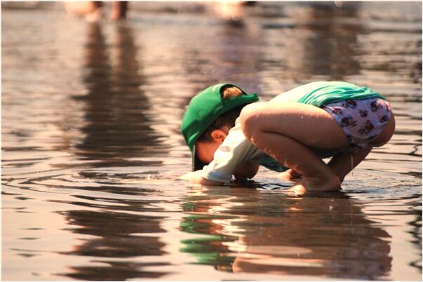 夢見狗向我撲過來是不是好的徵兆呢_周公解夢官網