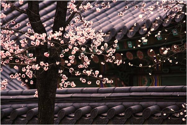 夢到蛇在衣服里動意味著什麼_周公解夢官網