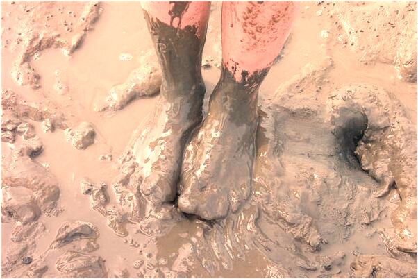 夢到了數學只考了一百十二分有什麼寓意嗎_周公解夢官網