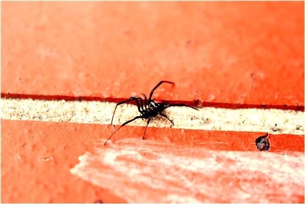 夢見舅舅家做了好多新窗簾是什麼徵兆_周公解夢官網